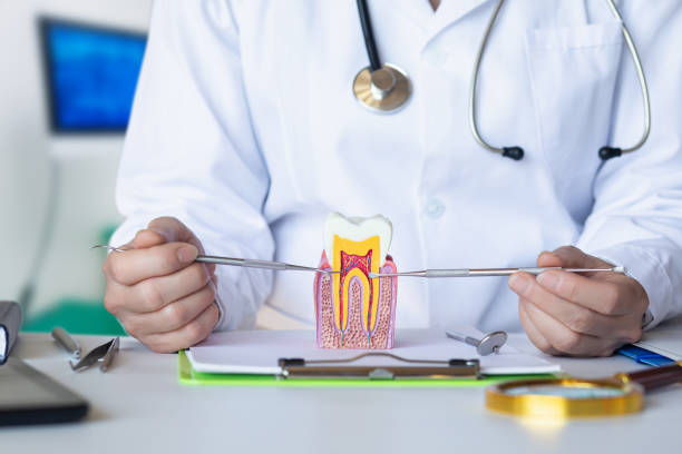 Best Emergency Gum Treatment in East Providence, RI